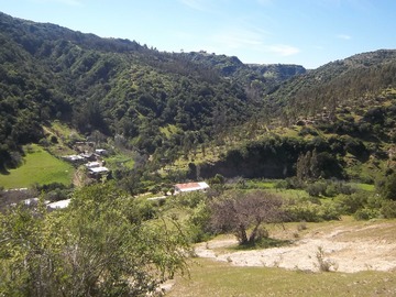 Imagen 7