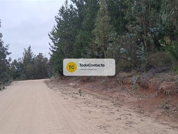 Imagen 20