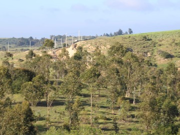 Imagen 6