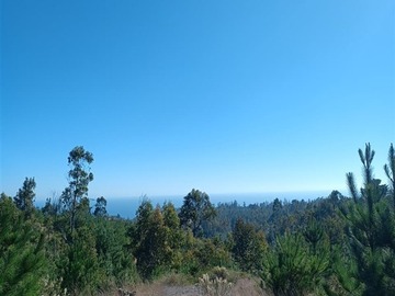 Venta / Parcela / Navidad