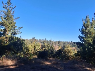 Terreno nivelado