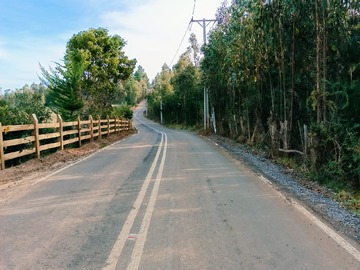 Imagen 12