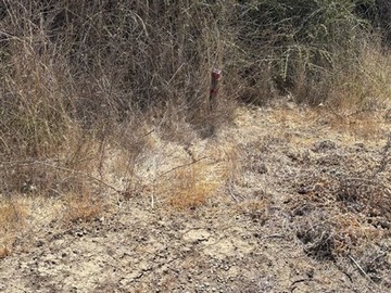 Imagen 5