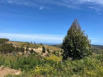 Venta / Parcela / Navidad