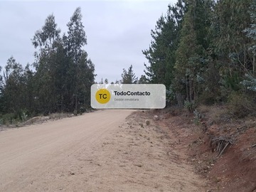 Imagen 19