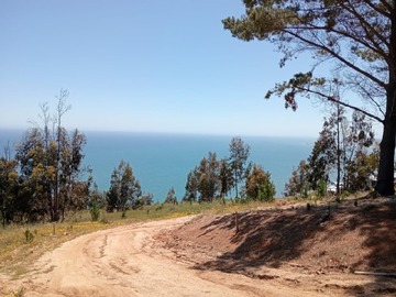 Imagen 14