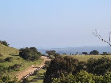 Venta / Parcela / Navidad