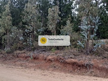 Imagen 22