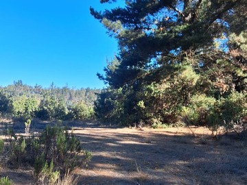 Terreno nivelado