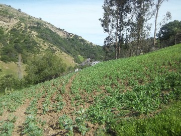 Imagen 11