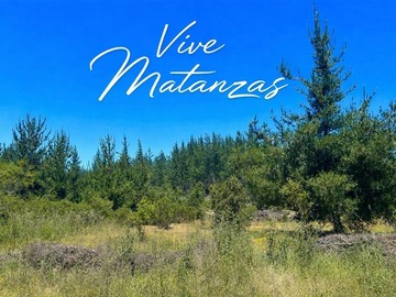 Venta / Parcela / Navidad