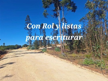 Imagen 12