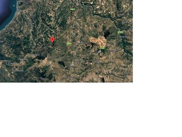 Imagen 11