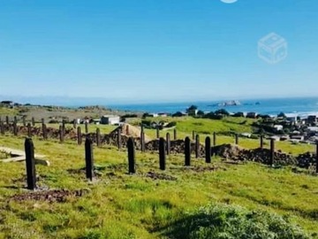 Venta / Parcela / Navidad