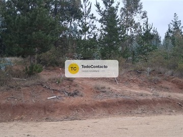 Imagen 23