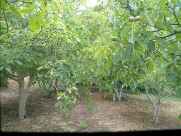 Imagen 8