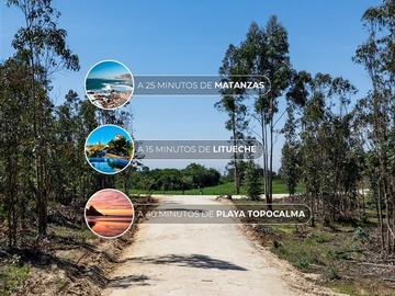 Imagen 15