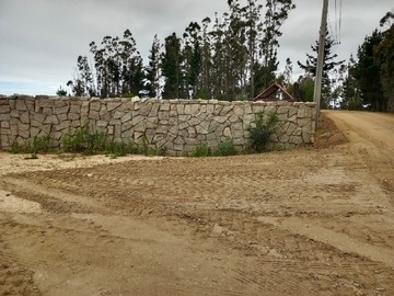 Imagen 6