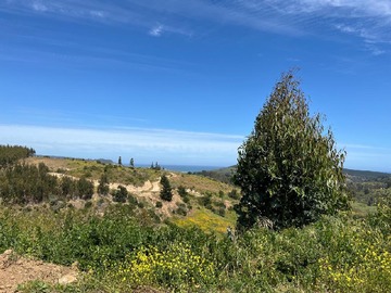 Venta / Parcela / Navidad