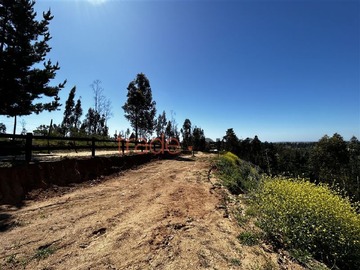 Imagen 9