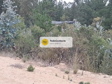 Imagen 13