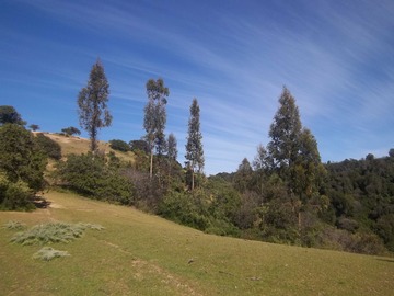 Venta / Parcela / Navidad