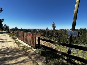 Venta / Parcela / Navidad