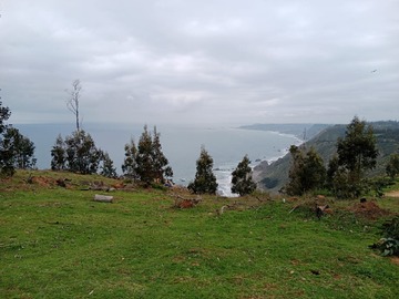 Imagen 34
