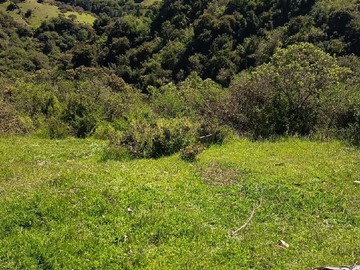 Venta / Parcela / Navidad