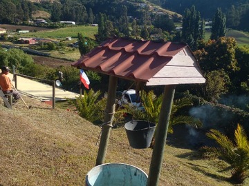 Imagen 7