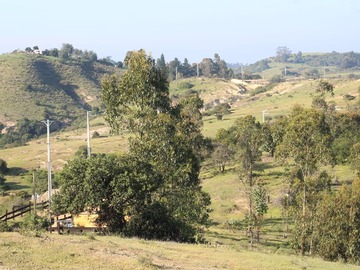 Imagen 7