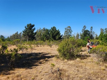 Imagen 16