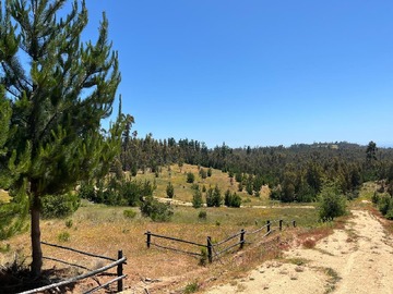 Venta / Parcela / Navidad