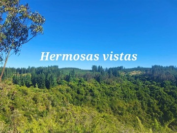 Imagen 13