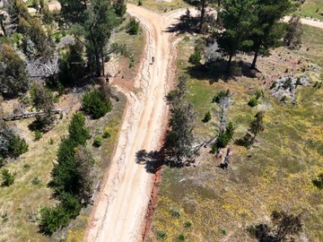 Imagen 4