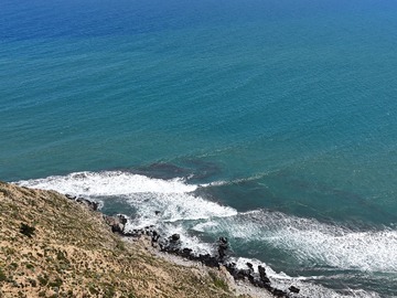 Imagen 6