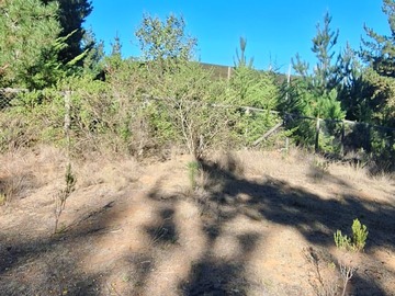 Terreno nivelado