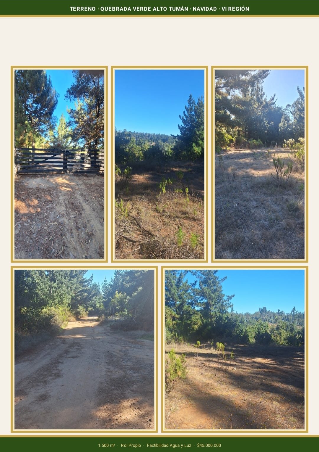Terreno nivelado