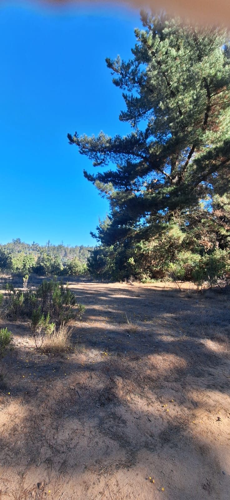 Terreno nivelado
