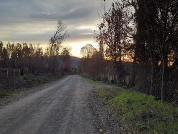 Camino hacia el rio