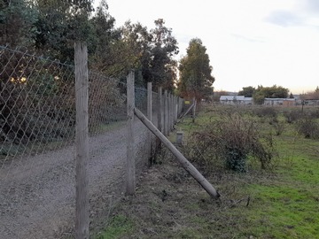 Proyeccion al fondo de Inmuebles