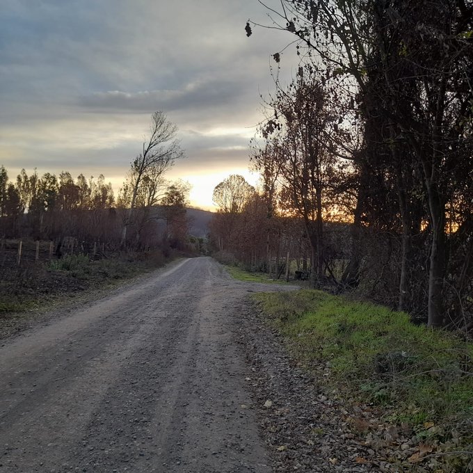 Camino hacia el rio