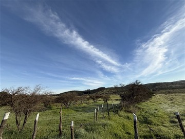Imagen 33
