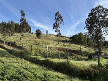 Imagen 25
