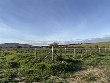 Imagen 19