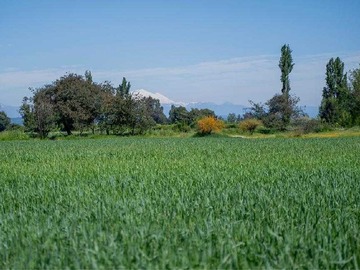 Imagen 14