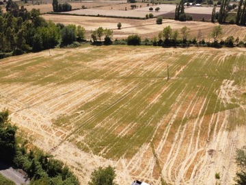 Venta / Parcela / Ñiquén