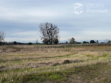 Imagen 7