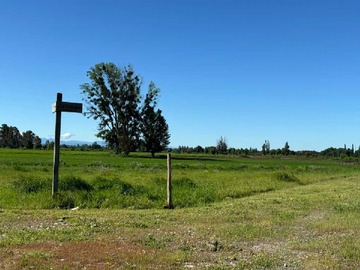 Venta / Parcela / Ñiquén