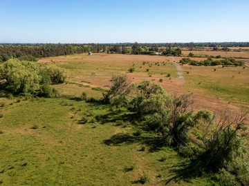 Venta / Parcela / Ñiquén